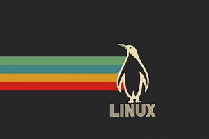 El kernel de Linux 5.12 ya está disponible: con soporte para el DualSense de la PS5, la Nintendo 64, y mejoras para Intel y AMD