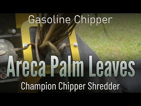 Champion Chipper Shredder vs Areca Palm Leaves: