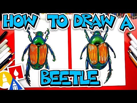 How To Draw A Japanese Beetle