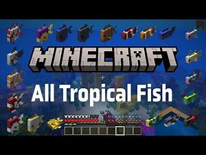 All the tropical fish in Minecraft | Tutorial
