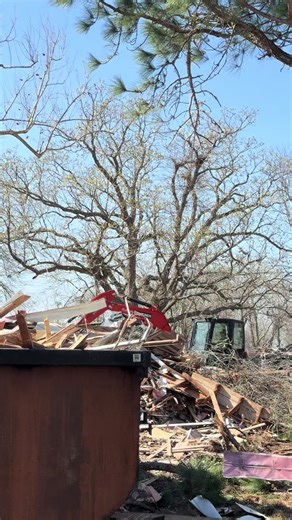 Professional Brush Clearing and Excavation Services