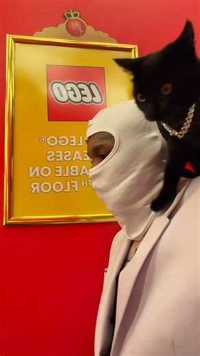 MAC AND MATTEO on Instagram: "Who remembers Andy, from “The Shawshank Redemption” Just remember how many letters he wrote before he got the books. And never forget how much Sh*t he swam through to put on a white Suit. You can make all the plans you want and think you know where life’s going, then poof, everything changes. Surf your wave big ones come far and few between. Nothing here has been planned by me #shouldercat #cat #blessing #blackcat #goodluck #explorar #matteo #life"