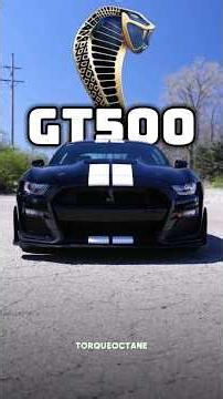 Shelby GT500 vs Mustang GT 🐍 | Same Car? Think Again! #mustanggt500 #shelby #mustangfans