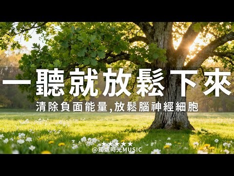 【Healing & Relaxing Piano Music】聽一聽就能讓你放鬆下來！3小時輕柔的旋律趕走壓力與疲勞，伴你沉浸在如朝陽般溫暖的寧靜時刻。非常適合用於冥想、放鬆、或作為睡前聆聽的背景音