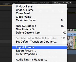 Premiere pro video effect presets