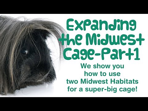 How to EXPAND the MIDWEST GUINEA PIG HABITAT CAGE | Part 1