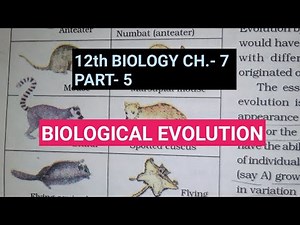 Class 12 biology chapter 7,Part 5||Biological evolution||Study with Farru