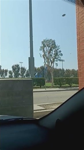 CSULB 14th week April 30, 2026