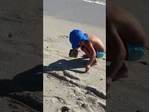 Fun beach days. Cute seaside moments!