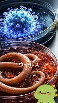 感染症の3要素と免疫 #健康 #雑学 #総合診療 #国家試験 #柔整師 柔整