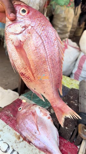 Combo Tamu Sana: Brinax Home Appliances in Kenya