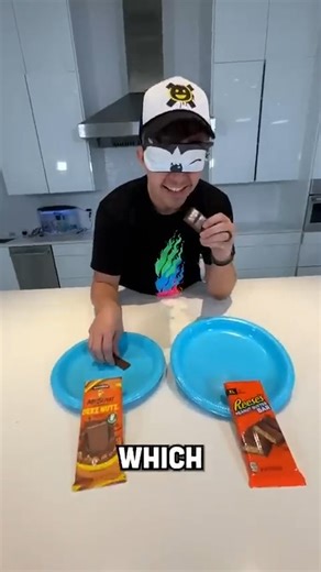 IMPOSSIBLE GUESS THE YOUTUBER CHALLENGE! | PrestonPlayz