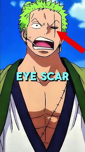 How Zoro Got Left Eye Scar? | Onepiece