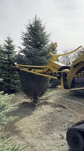 22 reactions |  Dutchman Tree Tyer 淋 Eliminate the hassle of hand tying and tie your trees within seconds. Built in a variety of sizes and fully customizable for different trees. This is a 60" model with 48" and 36" down size rings.  Steve Cossette Tree Transplanting | Harwood, ND #DutchmanIndustries #TreeTyer #TreeNursery #TreeTransplanting #Landscaping #LandscapeIndustry | Dutchman Industries | Facebook