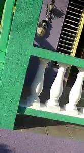 23K views · 56 reactions | Landlord vs Tenant .....What are the terms...