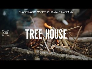 My favorite lens for blackmagic pocket cinema camera 4k (BMPCC 4K MFT lens Meike 35mm 1.7)