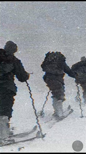 FILE 003 // The Dyatlov Pass Incident