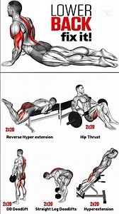👉Most Effective FIX LOWER BACK #lowerbackworkout #backworkout #lowerbackpain #lowerbackstrength