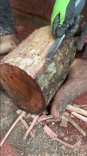 The Amazing Angle Grinder Technique for Removing Tree Bark