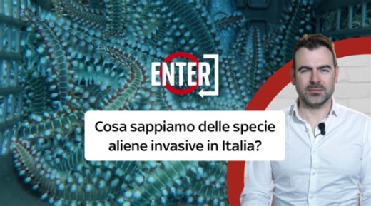 Specie aliene invasive in Italia, cosa sono e in che modo si possono contrastare