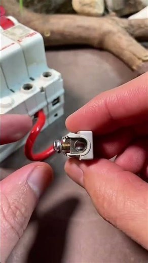 live wire connection quickly ✔️