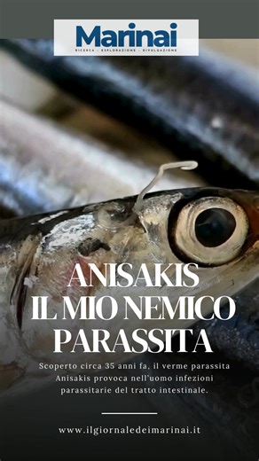 “Anisakis, il mio nemico parassita” Un viaggio nel mondo invisibile del mare, dove un minuscolo nematode può nascondersi dietro un semplice piatto di pesce crudo. L’Anisakis è un parassita diffuso nei nostri mari, capace di resistere al freddo e di arrivare fino all’uomo attraverso il consumo di pesce non cotto. Nel video racconto il suo ciclo vitale, i rischi per la salute e le buone pratiche per evitarlo — perché conoscere il mare significa anche conoscere ciò che mangiamo. Scopri l’articolo c