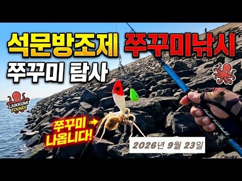 워킹 쭈꾸미낚시 석문방조제 쭈꾸미 탐사 쭈꾸미 나옵니다~