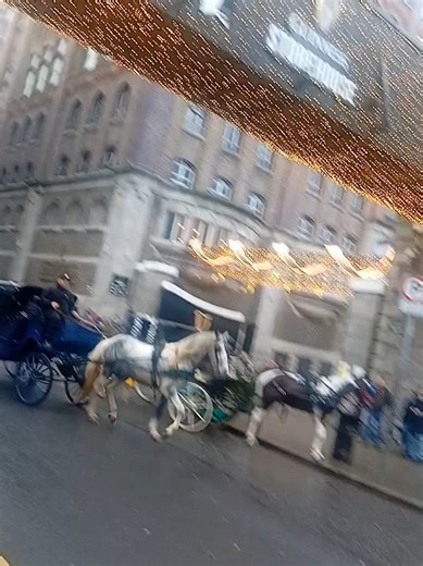 love it 🐎 #PatsyandRose #foryoupage #dublincity #beautifulhorses