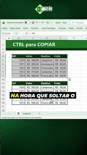 EXCEL: Only PROs use these 2 shortcuts to Copy