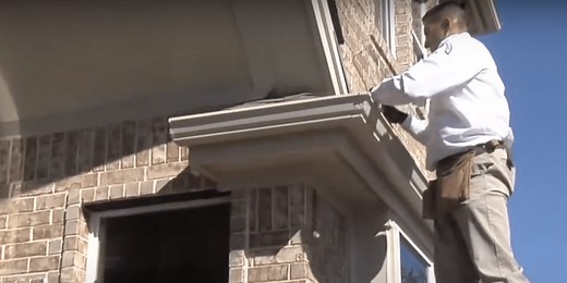 Wildlife & Rodent Control | Austin, TX | ABC Home & Commercial Services