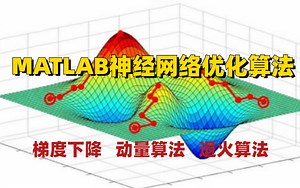 【MATLAB神经网络优化算法】梯度下降/退火算法/动量算法/Adam算法/RMSProp算法原理详解+项目实战（深度学习/神经网络/计算机视觉）