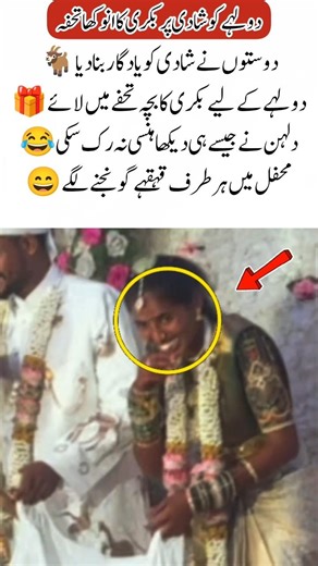 Groom Gets a Goat Gift on His Wedding #song #trending #viralvideo #viralmovement #)