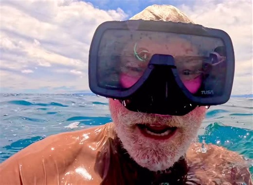 Scott Maxwell on Instagram: "the zebrafish genome is 70% similar to humans and they are even closer to humans than some other mammalian models making them ideal for research in the field of Parkinson’s. Zebrafish possess cognitive processes including memory, learning, fear, anxiety, perception, social skills and sleep patterns. I even know somebody that like to dress up as a Zebrafish! #zebrafish #reeffish #schoolsoffish"