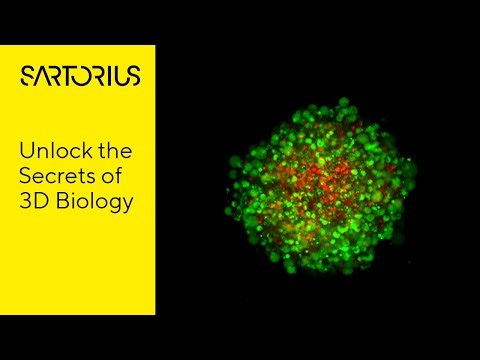 Incucyte® CX3 Live Cell Analysis System featuring Confocal Fluorescence Imaging