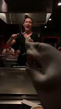 SHARK PUPPET HIBACHI!!!!!