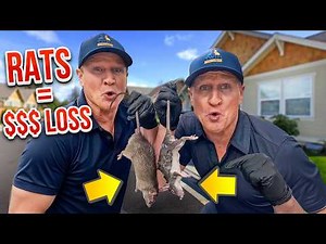 Shocking Rat Vac Cleanup! See How Twin Home Experts Save Thousands Instantly