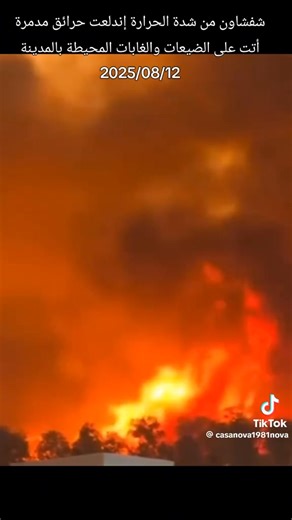 addisadmassnews.com on Reels