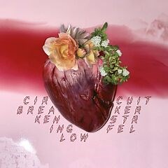 Ken Stringfellow – Circuit Breaker (2024) » download by NewAlbumReleases.net