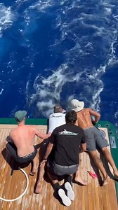 Puerto Rico - Sea Owl released a Blue Marlin. | Billfish Report
