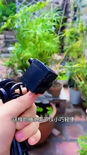 5W Mini Submersible Water Pump for Aquariums and More