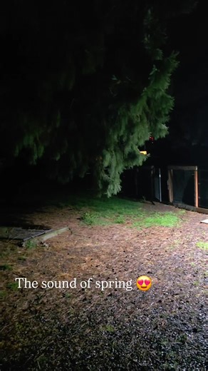 Dodson.Farm (@dodson.farm)’s videos with original sound - Dodson.Farm