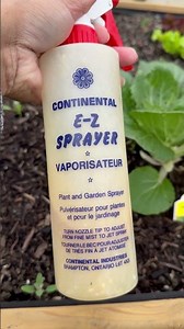 Using organic pressed neem oil in the garden #gardening #growyourownfood #plantlover #nature #views