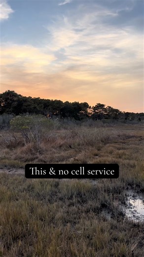 Bayside of Assateage Island National Seashore #assateagueisland #maryland #getoutside #outdoors #wildlife