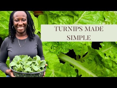 Turnips 101: Harvest, Clean, & Freeze Like a Pro 🌱