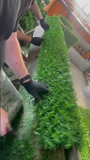 Bahçe teli Çim çit örme makinası