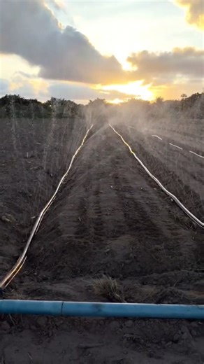 30K views · 40 reactions | Rain irrigation systems are an innovative...