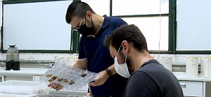 Agronomia Sustentável mostra importância dos engenheiros na educação