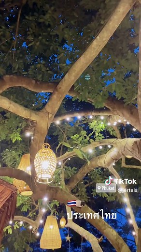 Dining in the Treetops: A Must-Visit Phuket Restaurant