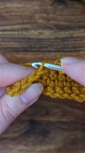 Sc blo (back loop only)- How to crochet tutorial