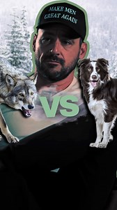 1K views · 17K reactions | Women need to understand that inside every man there is a wolf, but also a sheep dog. #men #masculinity #wolf | Adam Allred | Facebook